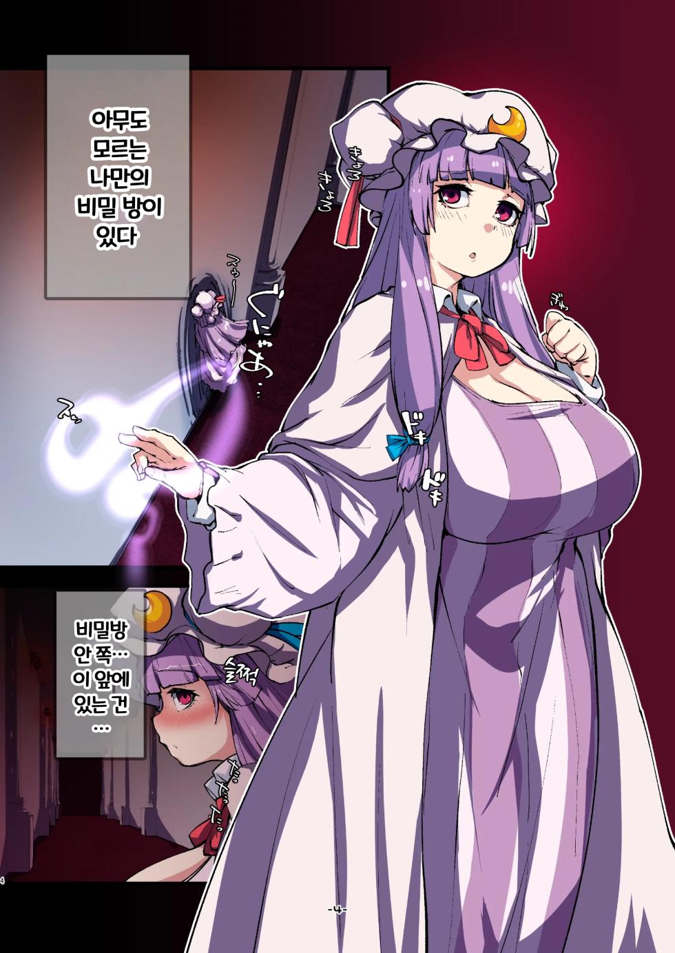 [H-net (HiRo)] Patchouli to Himitu no Anal | 파츄리와 신비의항문 (Touhou Project) [Korean] [BroadRight] [Digital] - Page 4