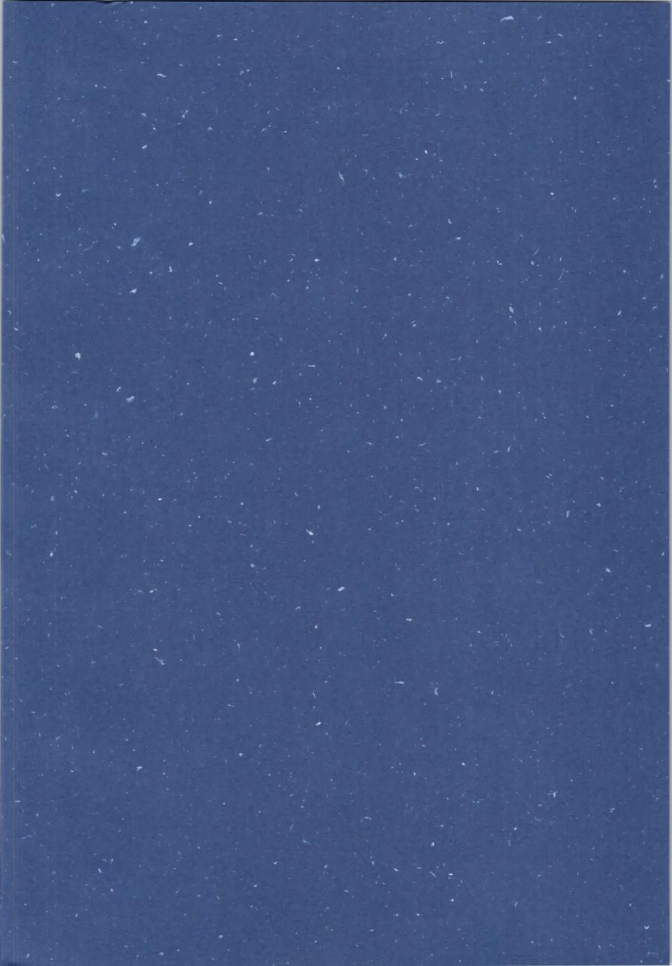 (C106) [One or Eight (Odochi)] Nekohanten e Youkoso|Bienvenidos a Nekohanten (Ranma 1/2) [Spanish] [Harenchi no Fansub] - Page 31