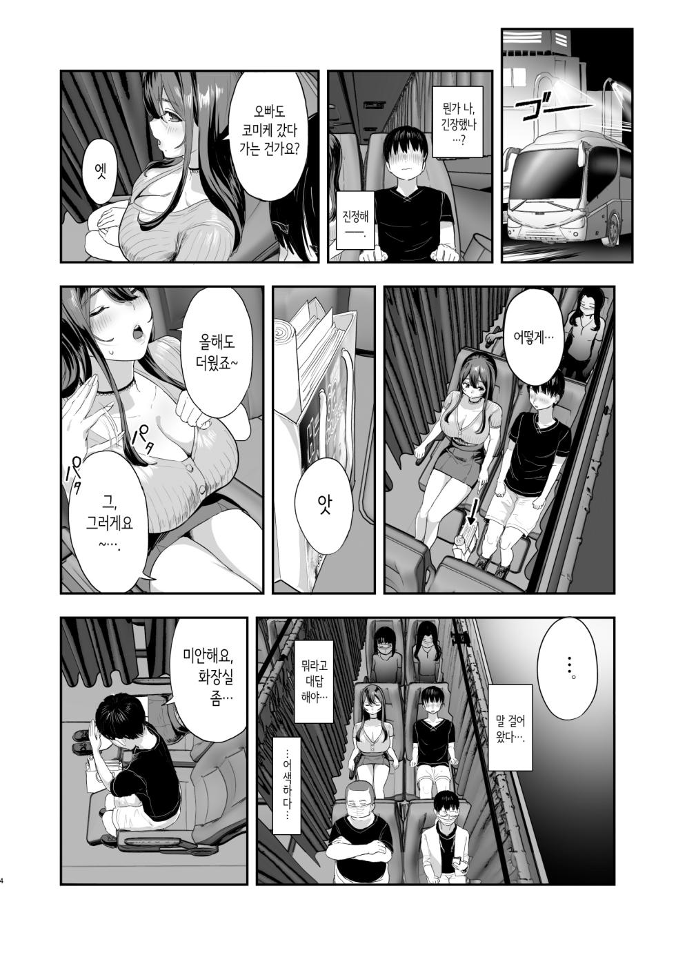(C106) [nul_Neverland (Navier Haruka 2T)] 야간버스에서 옆자리 누나랑 밤새도록…♥ [Korean] - Page 3