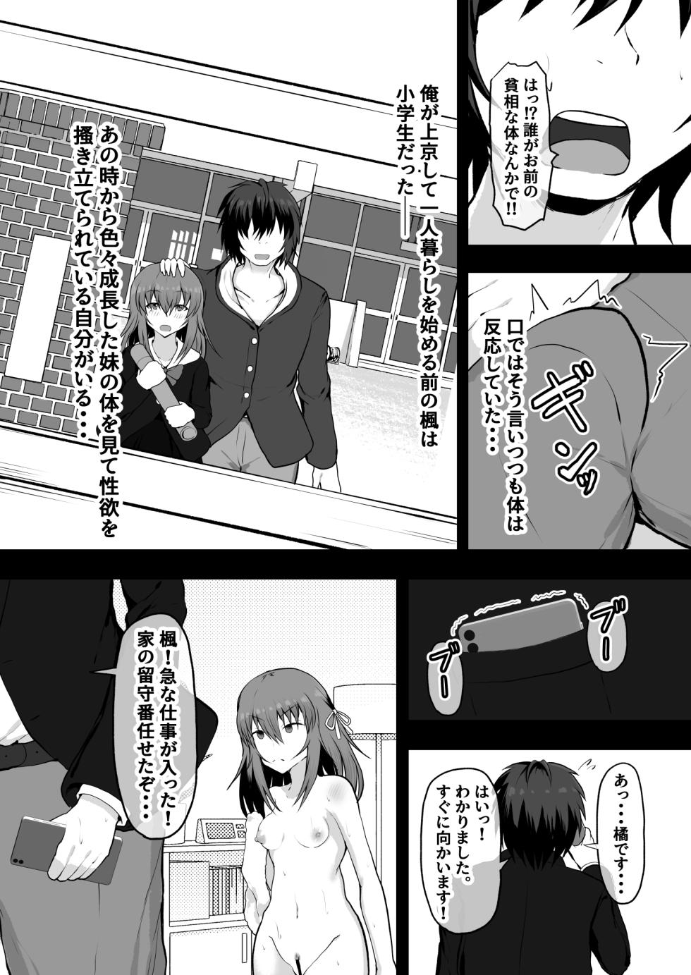 [Ryoushi Koubou (HADRON9)] Neet Imouto x Shachiku Ani Onaho Atsukai shiteita Imouto to Junai ni Itaru made - Page 11