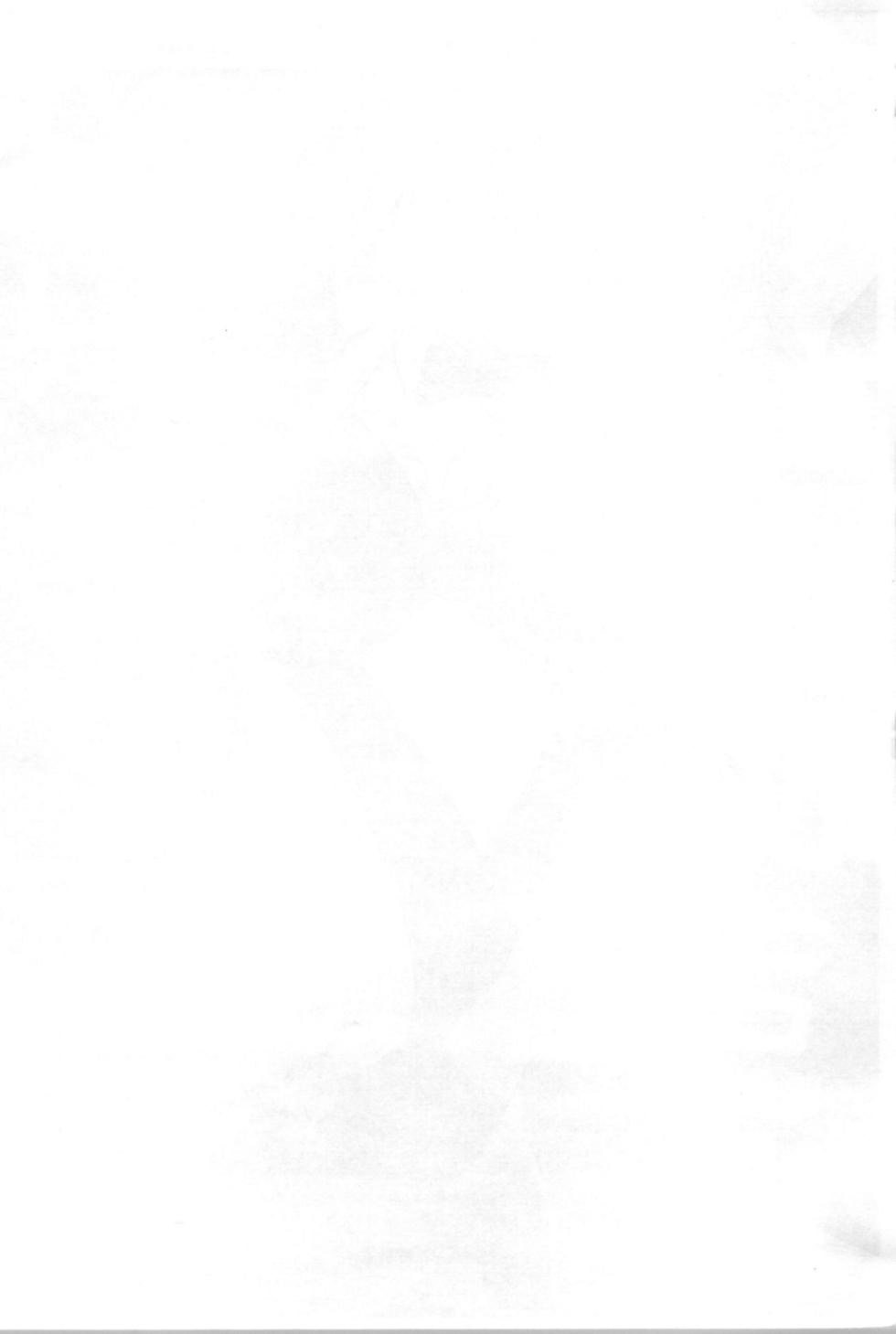 [Yoshida Gorou Shoukai (Yoshida Gorou)] I'm quitting Sailor Moon - Page 2