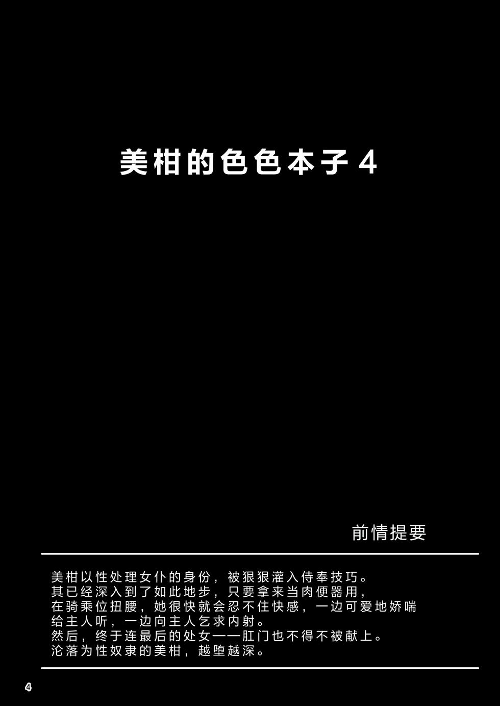 [Aiirosakura (Aikawa Ryou)] Mikan no Ecchi na Hon 4 (To LOVE-Ru) [Chinese] [Digital] - Page 3