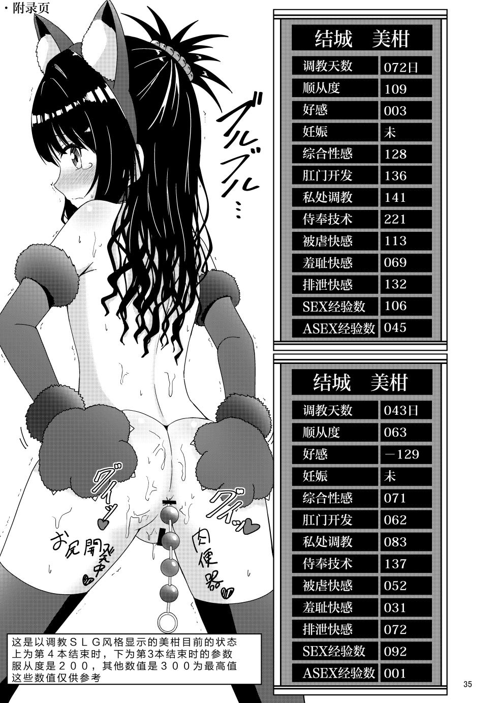 [Aiirosakura (Aikawa Ryou)] Mikan no Ecchi na Hon 4 (To LOVE-Ru) [Chinese] [Digital] - Page 35