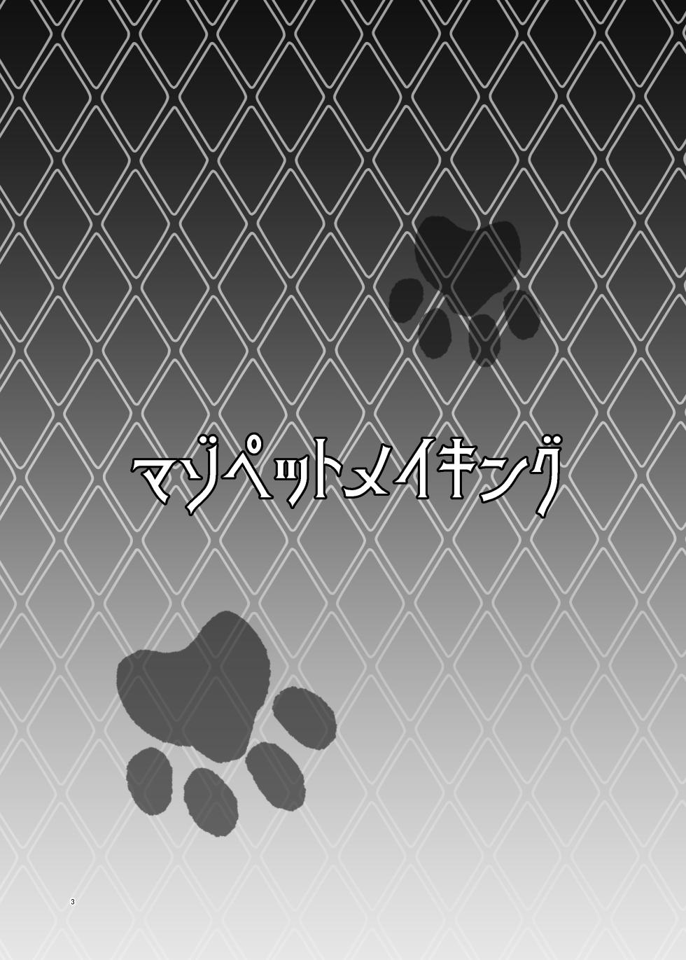 [Dokoka no Yosumi (Sumizumi Yosumi)] Maso Pet Making (Pokémon Black 2 and White 2) [Digital] - Page 3