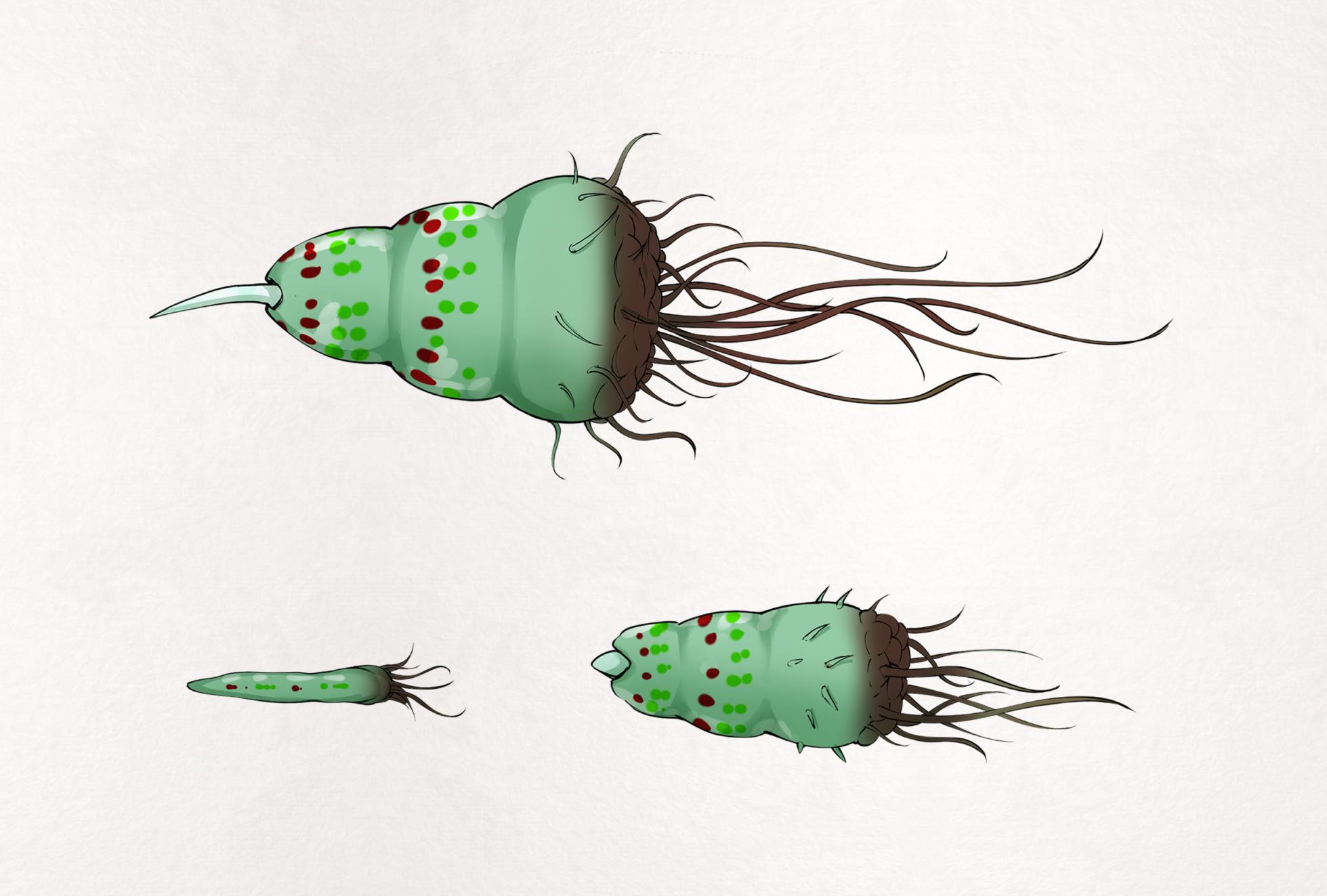 [Gura] Insect Research Report No.28 - Page 4