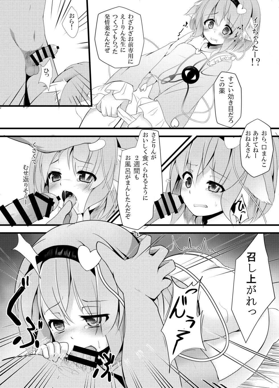 [Angora doll (Kinoko Mushi)] Touhou Doubutsu-dono (Touhou Project) [Digital] - Page 8