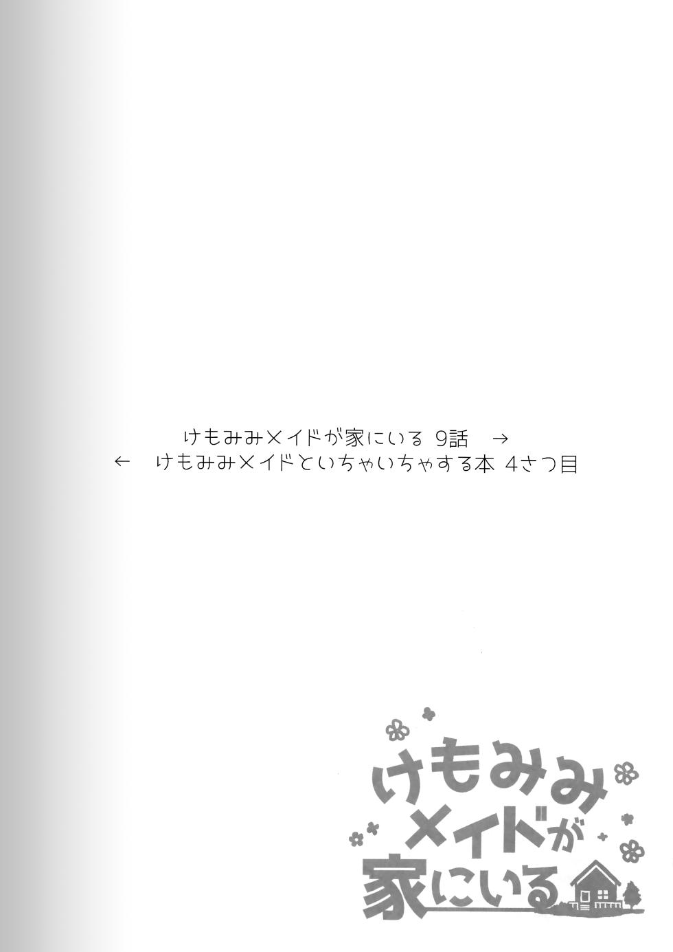 (C103) [Dot Eito (Sawayaka Samehada)] Kemomimi Maid to Ichaicha Suru Hon 4 Satsume - Page 10