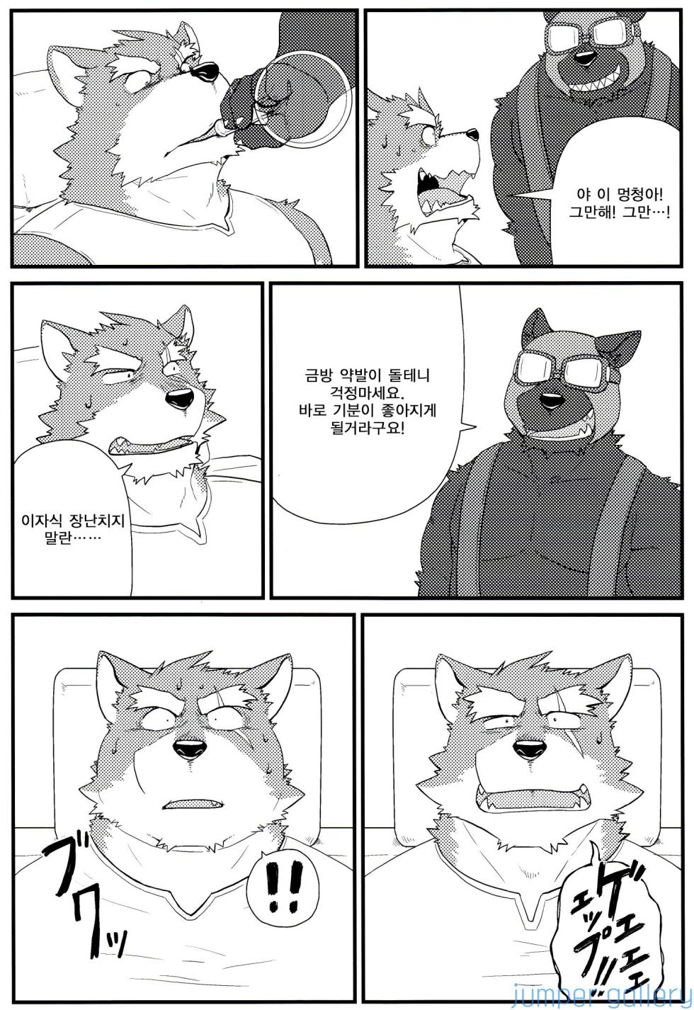 (Kemoket 4) [KAKUNI (Iwano)] Oyabun to Ayashii Hatsumei | (3) 두목과 이상한 발명 [Korean] - Page 20