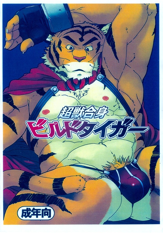(C73) [Dragon Heart (gamma)] Choujuu Gasshin Build Tiger | 초수합신 빌드 타이거 1 [Korean] - Page 1