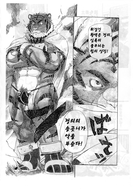 (C73) [Dragon Heart (gamma)] Choujuu Gasshin Build Tiger | 초수합신 빌드 타이거 1 [Korean] - Page 4
