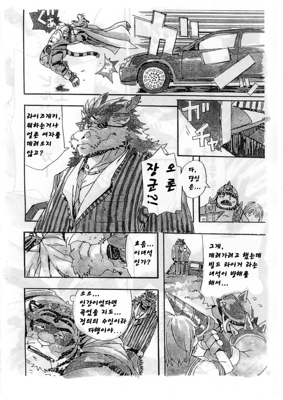 (C73) [Dragon Heart (gamma)] Choujuu Gasshin Build Tiger | 초수합신 빌드 타이거 1 [Korean] - Page 6