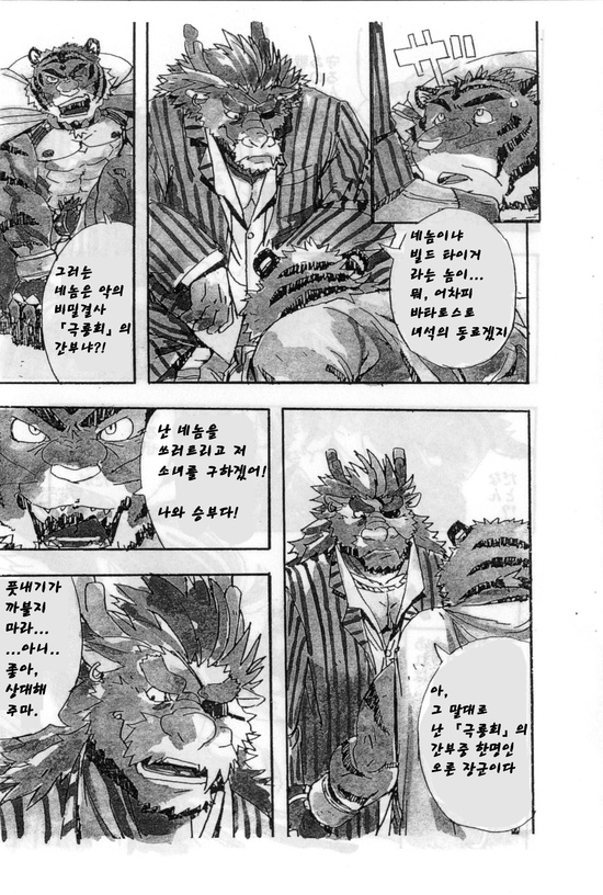 (C73) [Dragon Heart (gamma)] Choujuu Gasshin Build Tiger | 초수합신 빌드 타이거 1 [Korean] - Page 7