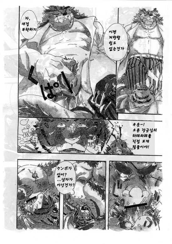 (C73) [Dragon Heart (gamma)] Choujuu Gasshin Build Tiger | 초수합신 빌드 타이거 1 [Korean] - Page 10