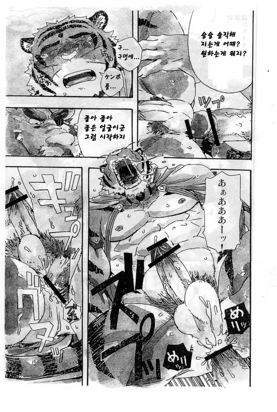 (C73) [Dragon Heart (gamma)] Choujuu Gasshin Build Tiger | 초수합신 빌드 타이거 1 [Korean] - Page 13