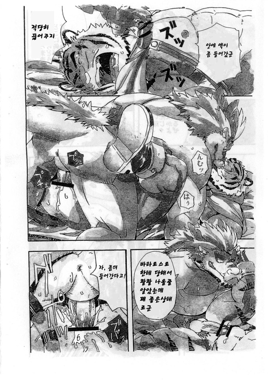 (C73) [Dragon Heart (gamma)] Choujuu Gasshin Build Tiger | 초수합신 빌드 타이거 1 [Korean] - Page 14
