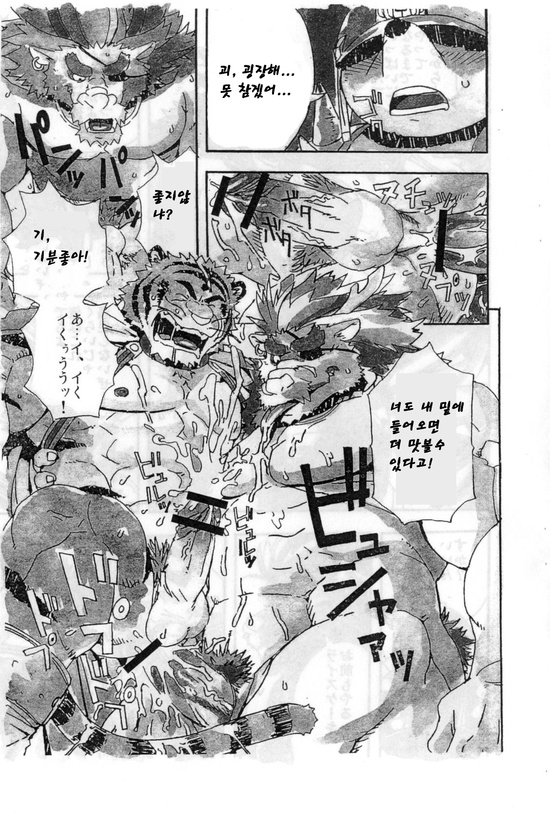(C73) [Dragon Heart (gamma)] Choujuu Gasshin Build Tiger | 초수합신 빌드 타이거 1 [Korean] - Page 15