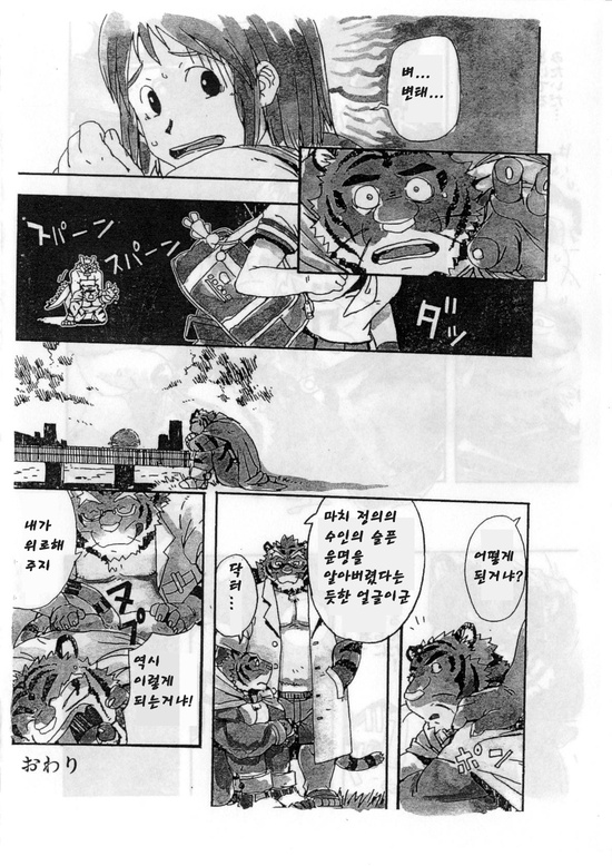 (C73) [Dragon Heart (gamma)] Choujuu Gasshin Build Tiger | 초수합신 빌드 타이거 1 [Korean] - Page 18