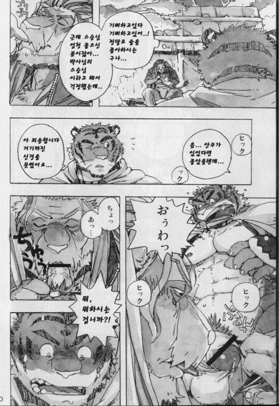 (C74) [Dragon Heart (gamma)] Choujuu Gasshin Build Tiger 3 | 초수합신 빌드 타이거 3 [Korean] - Page 12