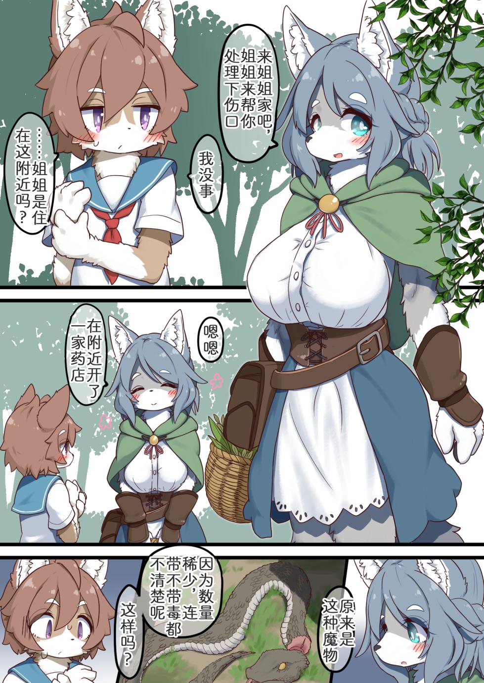 [Koori Nezumi] 姐姐的采药日记 [Chinese] [zc2333] - Page 2