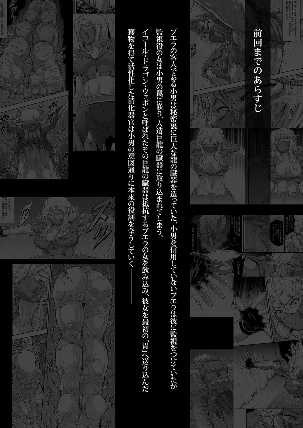 (C106) [Yokohama Junky (Makari Tohru)] Solo Hunter no Seitai WORLD 13 (Monster Hunter) - Page 4