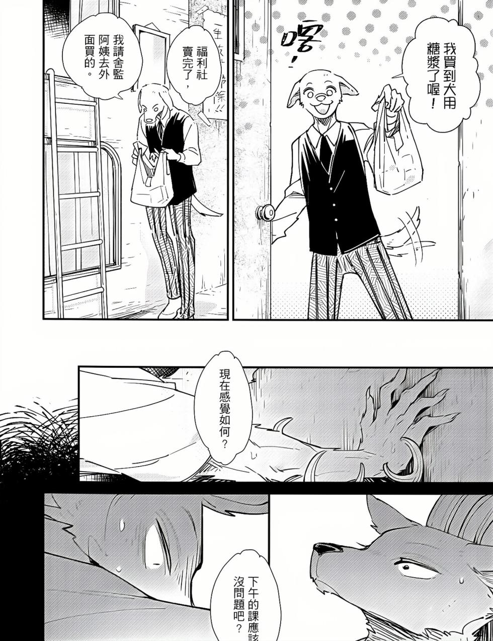 [Nikushokusei (Kuro Hyou)] 701 Shitsu-teki Himitsu | The Secret in Room 701 (BEASTARS) [Chinese] [Digital] - Page 9
