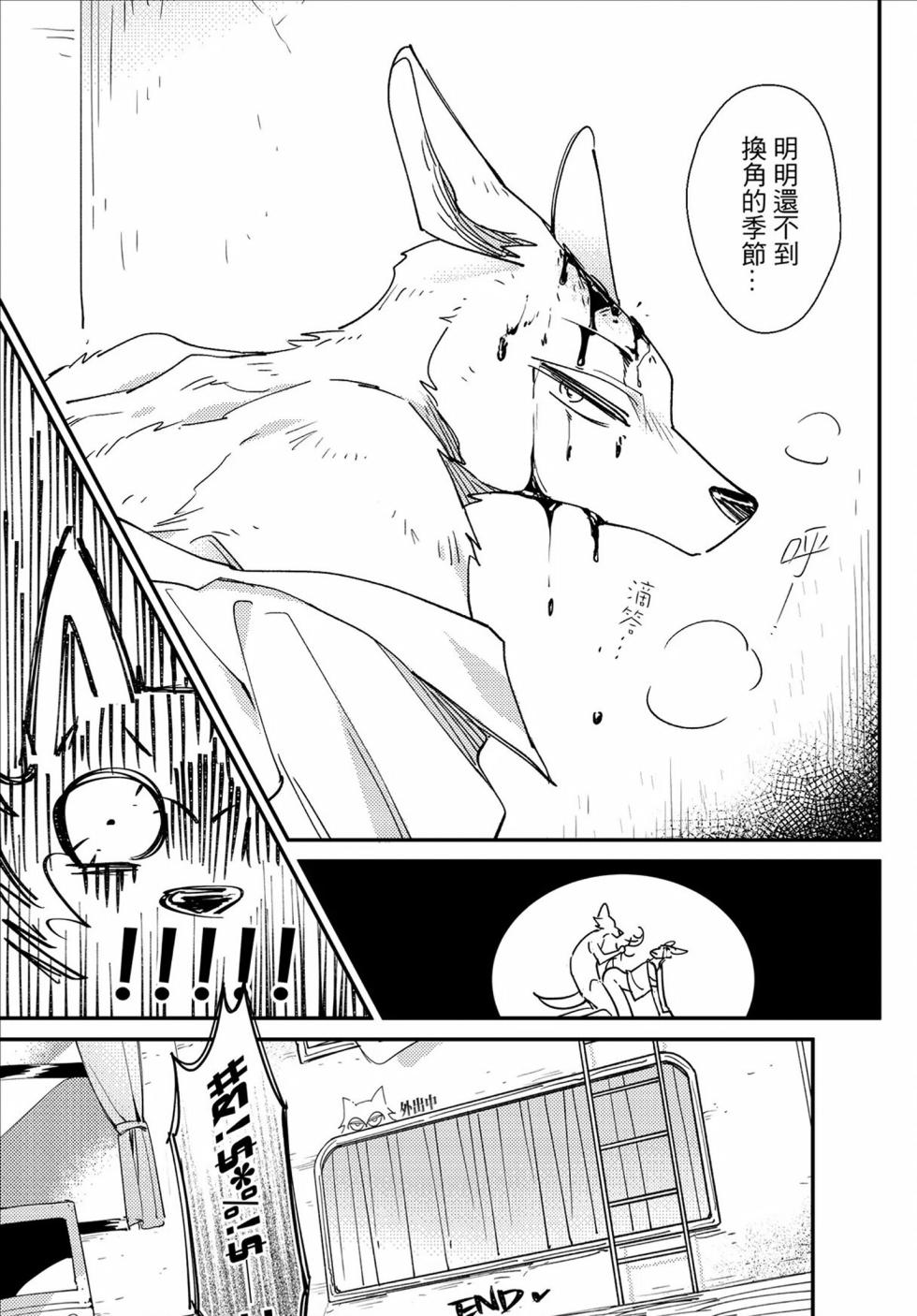 [Nikushokusei (Kuro Hyou)] 701 Shitsu-teki Himitsu | The Secret in Room 701 (BEASTARS) [Chinese] [Digital] - Page 36
