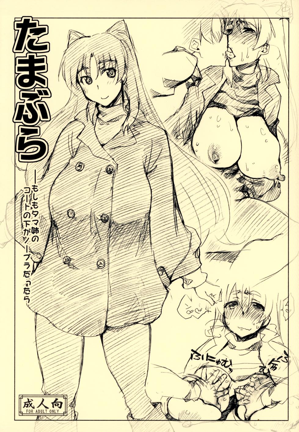 (C81) [Sago-Jou (Seura Isago)] Tamabura (ToHeart2) [Chinese] [不咕鸟汉化组] - Page 1