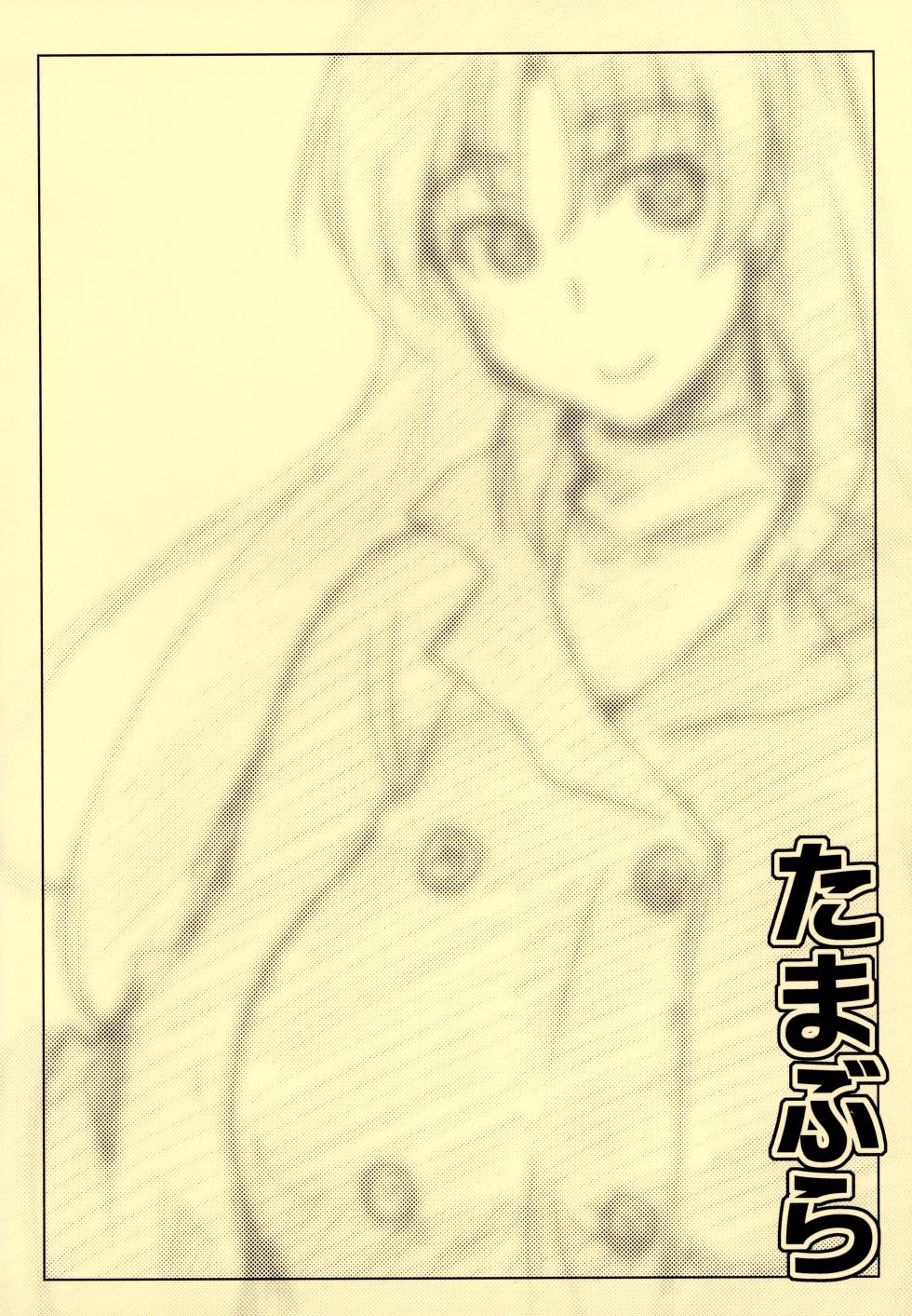 (C81) [Sago-Jou (Seura Isago)] Tamabura (ToHeart2) [Chinese] [不咕鸟汉化组] - Page 18