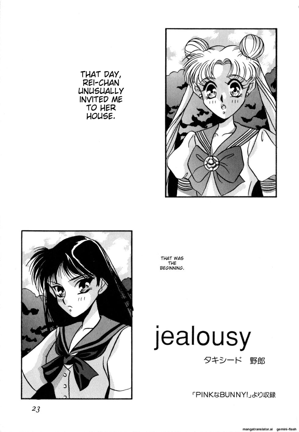 [Anthology] Lunatic Party 2 (Bishoujo Senshi Sailor Moon) [English] - Page 24