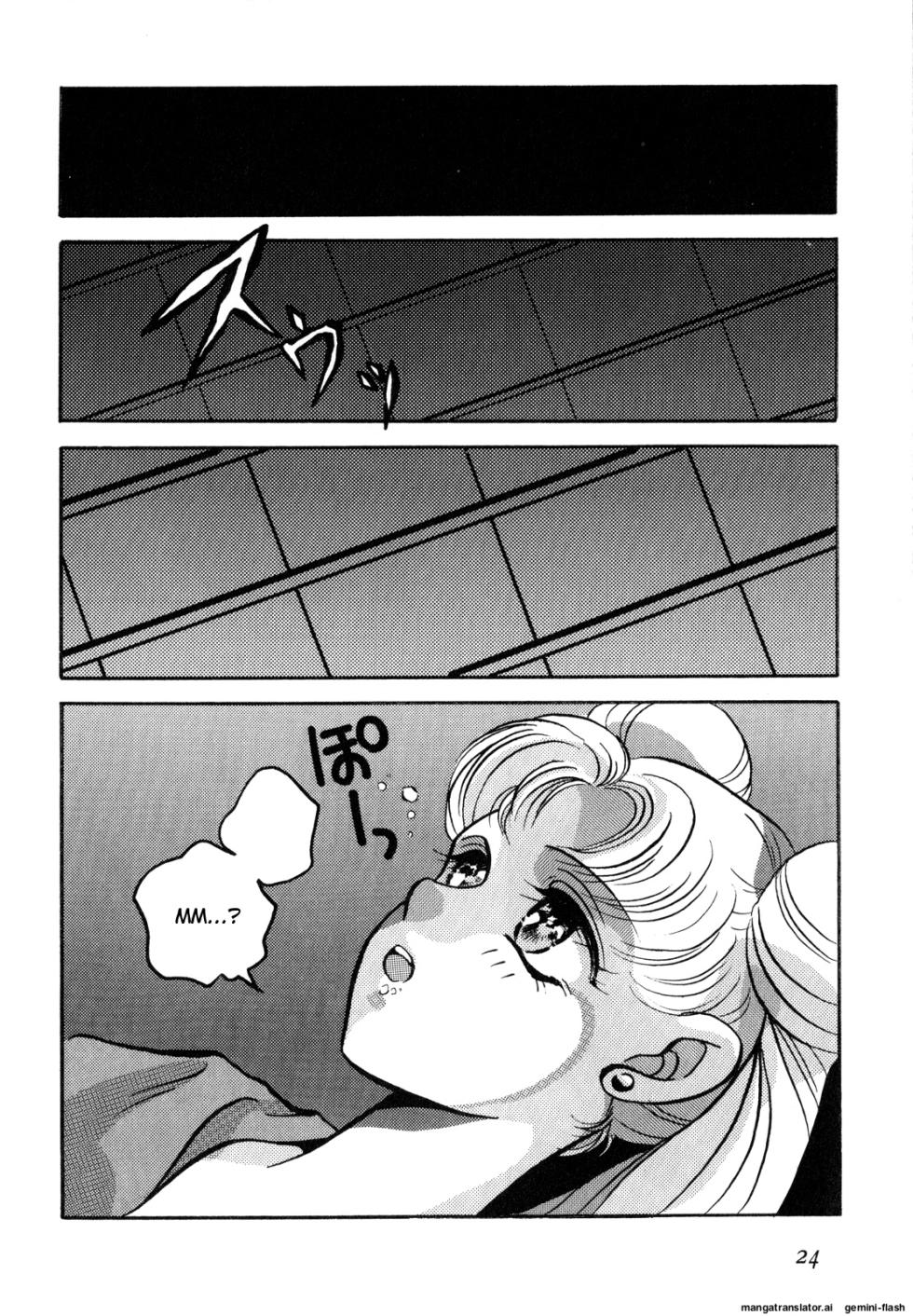 [Anthology] Lunatic Party 2 (Bishoujo Senshi Sailor Moon) [English] - Page 25