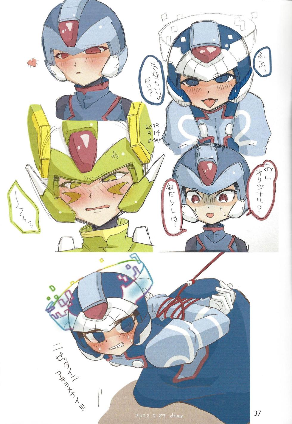 [Gray Rabbit (dear)] 2023~2025 dear Compilation book (Mega Man Zero) - Page 38