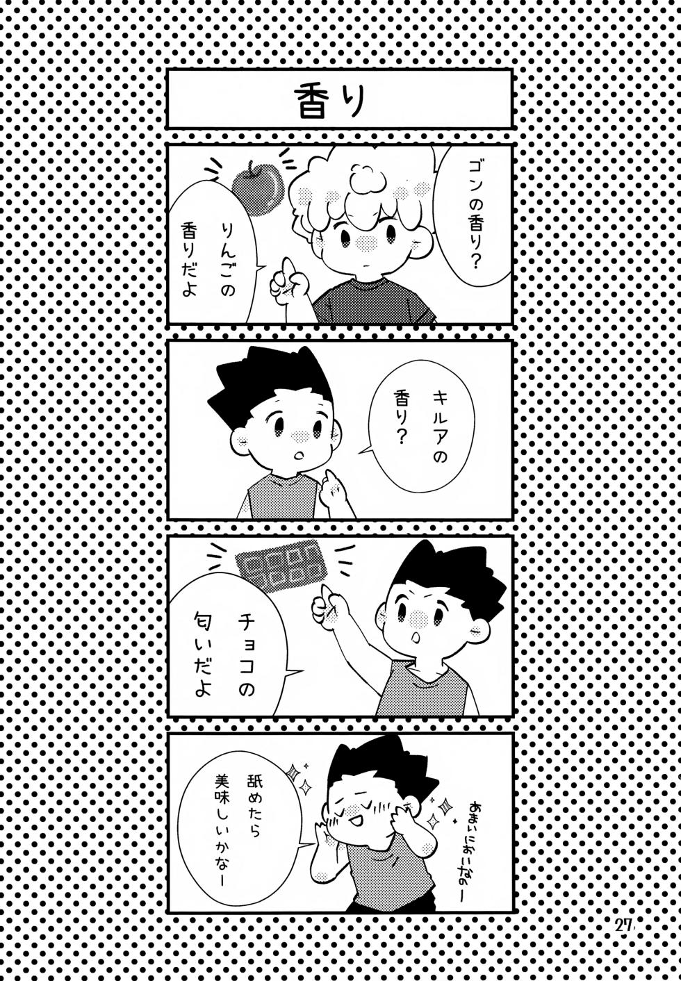 (Re:HUNTER 11) [SHIROZONE (Mizushiro Yuduki)] Donkan DESTINY (Hunter x Hunter) - Page 27