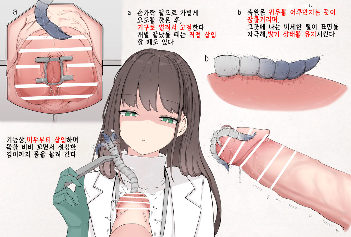 [gura] Insect Research Report No.029 [korean] - Page 2