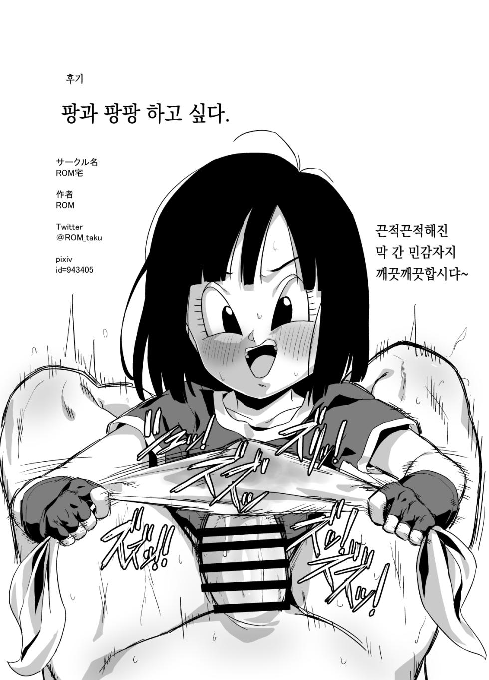 [ROM taku (ROM)] Watashi ga Panpan Shite Ageru (Dragonball GT) [Korean] - Page 17