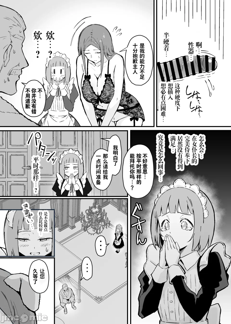 我所崇拜的女仆长的侍寝教学 - Page 14