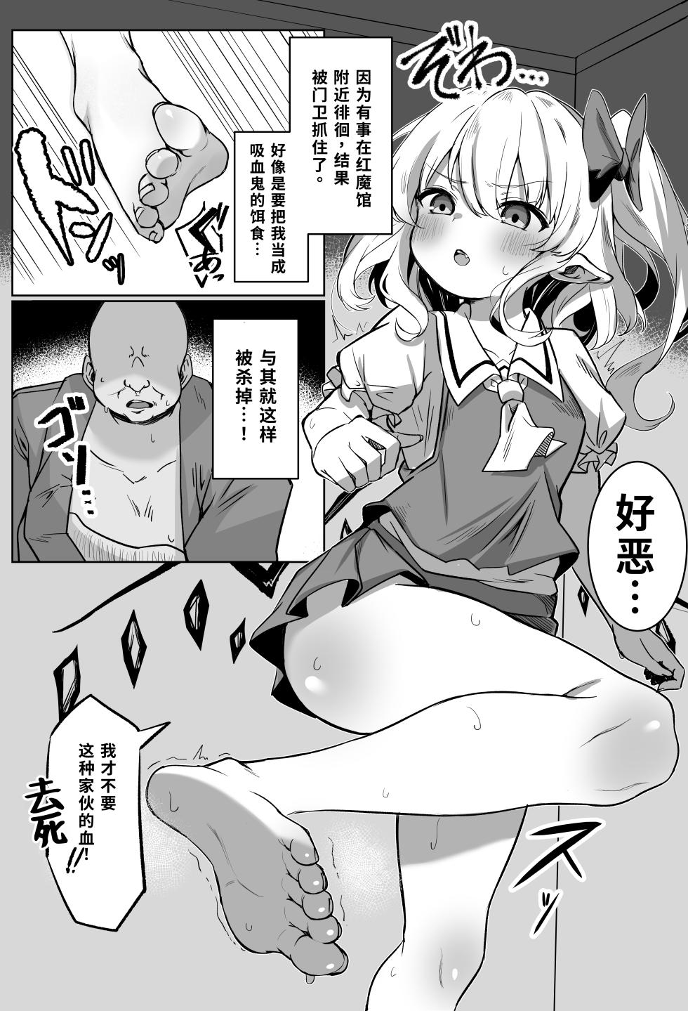 [Kamui Juukou (Kamui)] Flan-chan Tanetsuke Koubi Nisshi | 芙兰酱播种交配日记 (Touhou Project) [Chinese] [Digital] - Page 3
