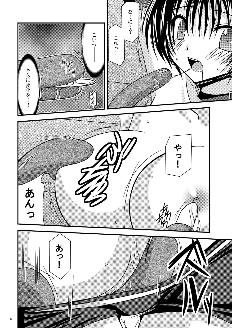 [valssu (Charu)] Unmei Saitan (Tales of Destiny, Tales of Rebirth) [Digital] - Page 13