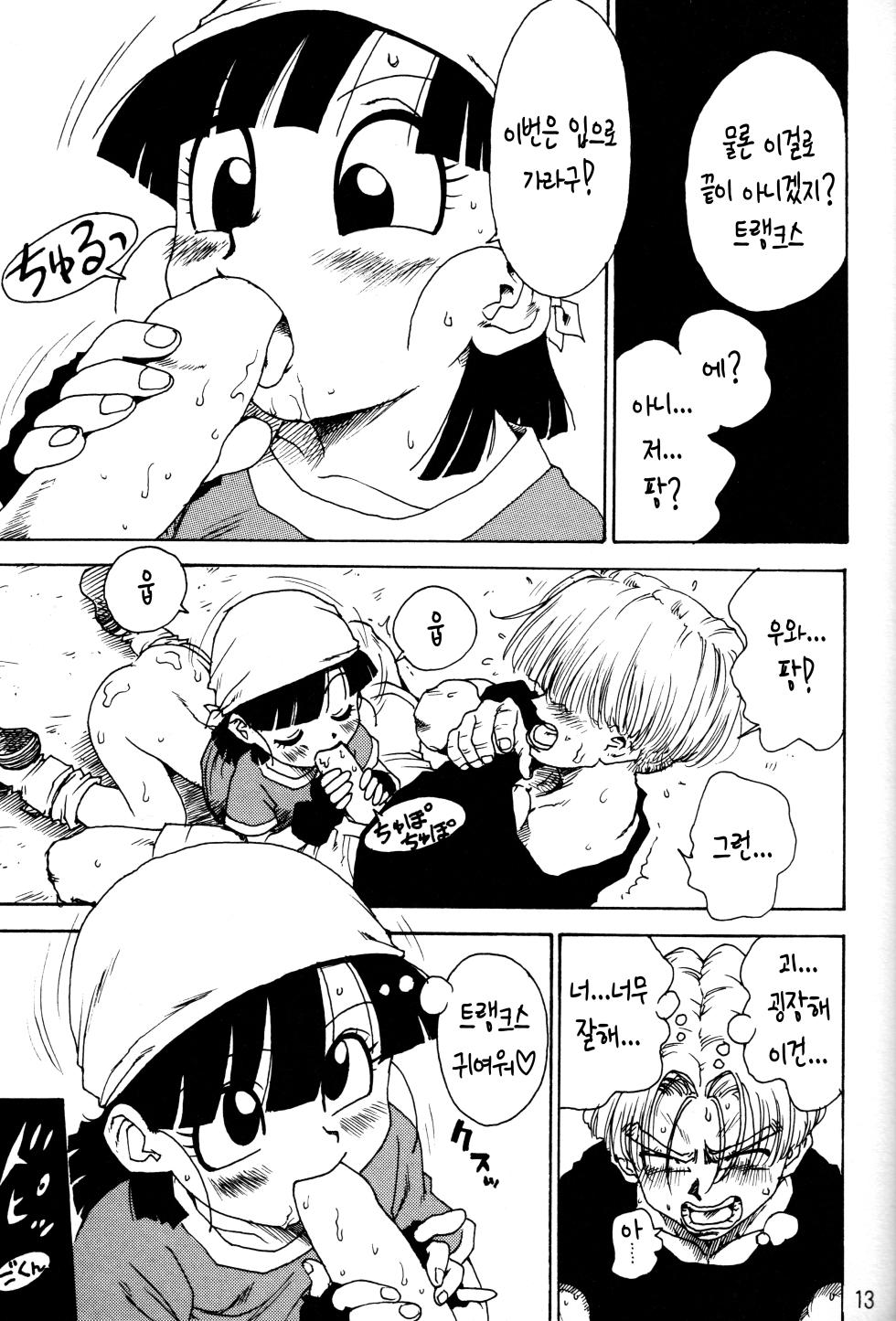 (C52) [Karumaya (Karma Tatsurou)] Dynamite Heroine (Dragon Ball GT) [Korean] - Page 10