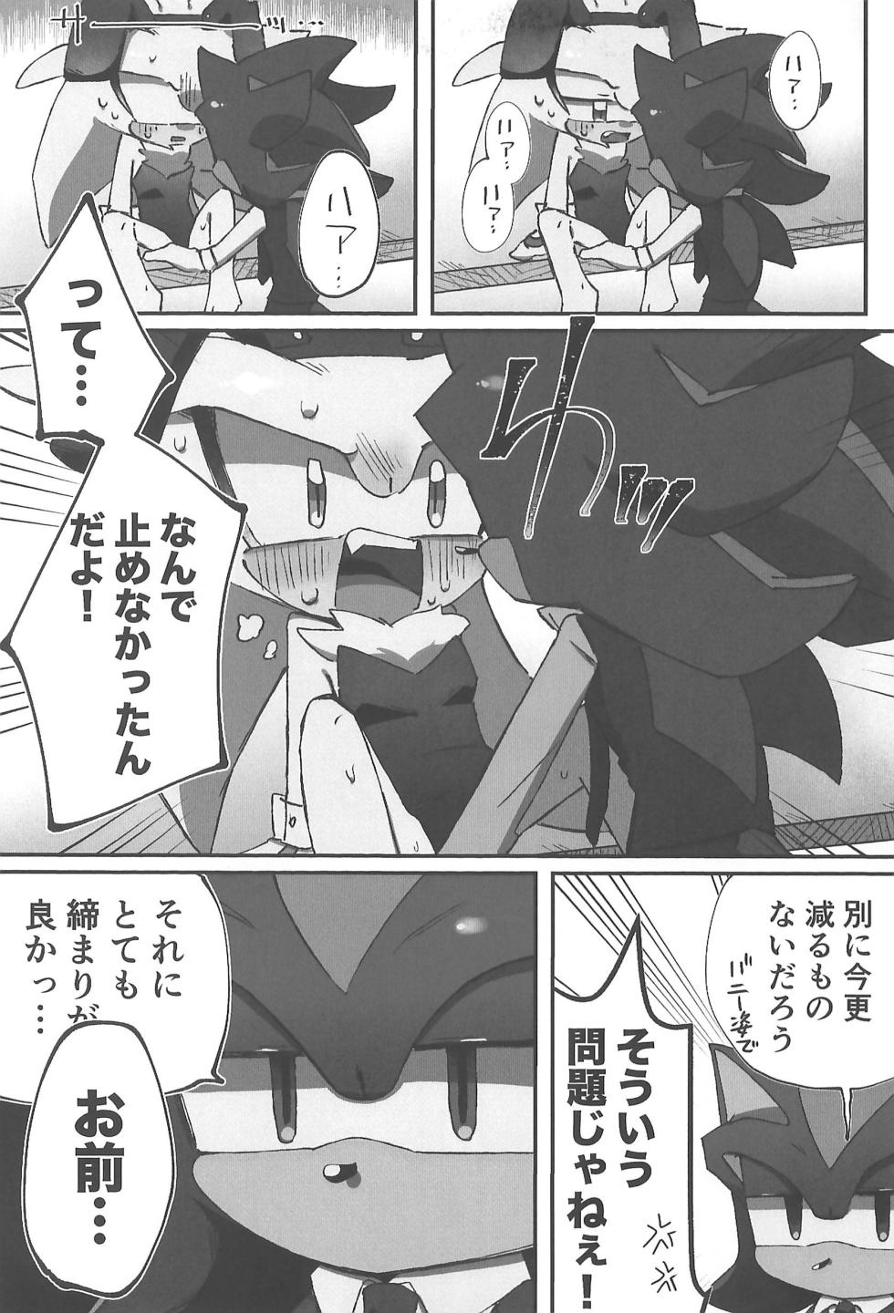(SoniFes! 3) [Nikokan (Niko)] WHITE SURRENDER (Sonic the Hedgehog) - Page 25
