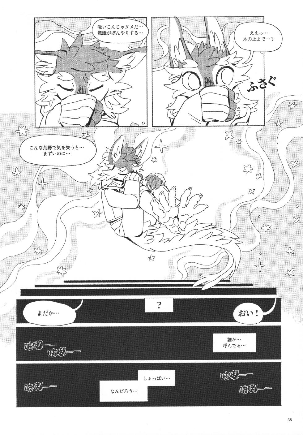 (Kemoket 16) KemoShonen 01 - Page 39