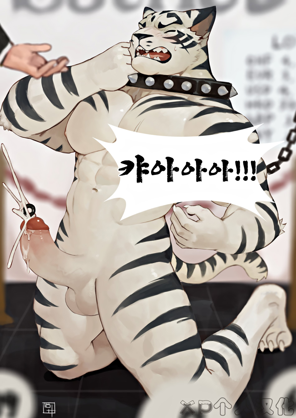 [18PlusPlus] Auction and Gladiator [Korean] - Page 7