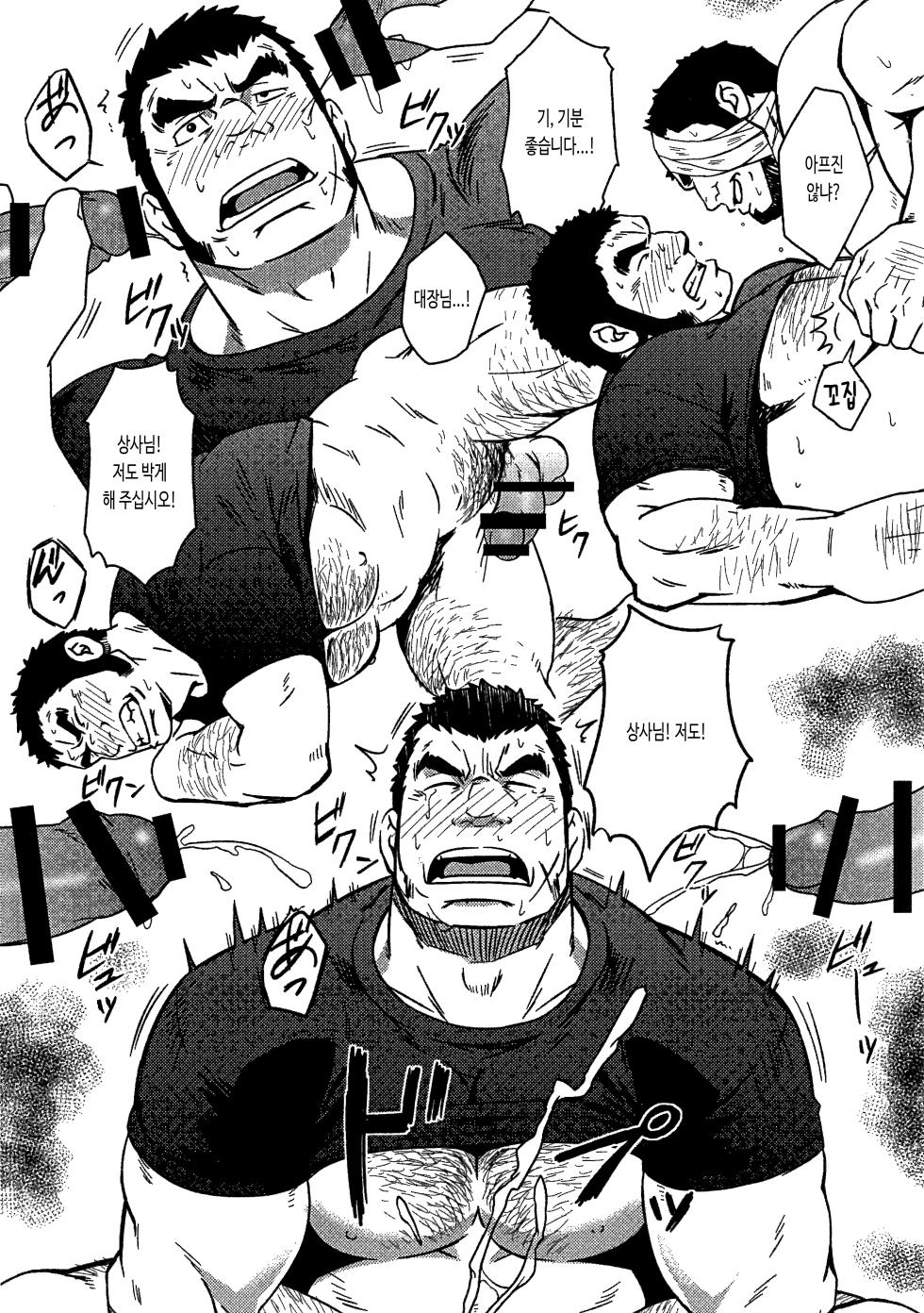(C87) [RYCANTHROPY (Mizuki Gai)] HADAL (Space Battleship Yamato 2199) [Korean] [장미 메가] - Page 16