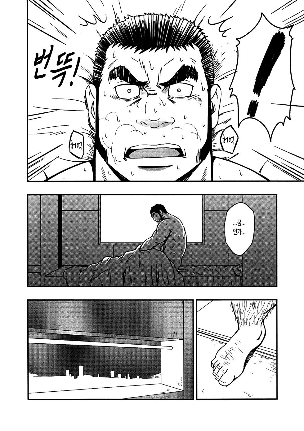 (C87) [RYCANTHROPY (Mizuki Gai)] HADAL (Space Battleship Yamato 2199) [Korean] [장미 메가] - Page 17