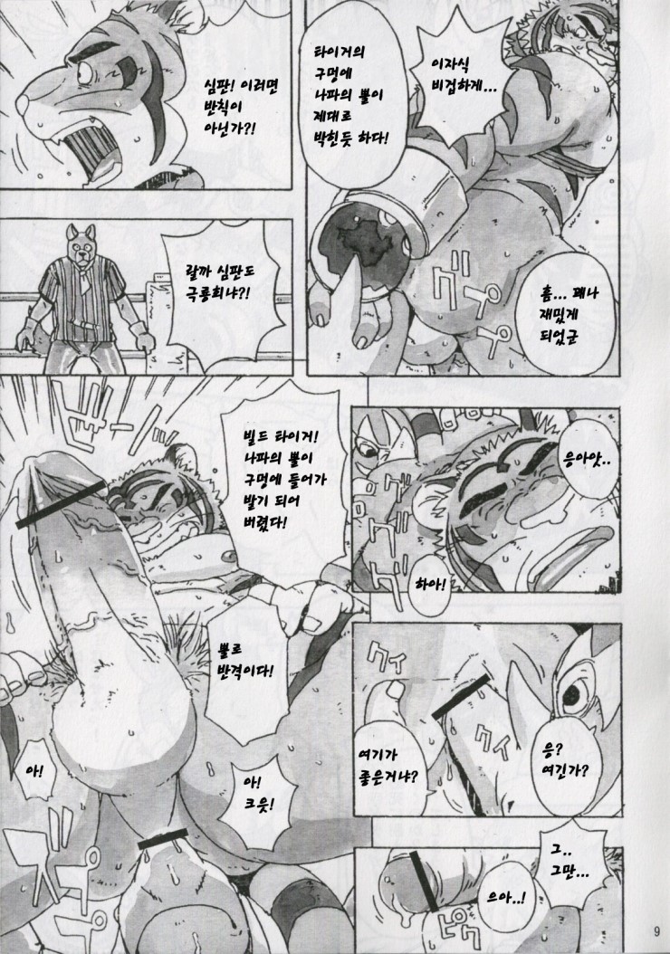 (C79) [Dragon Heart (gamma)] Choujuu Gasshin Build Tiger 7 | 초수합신 빌드 타이거 7 [Korean] - Page 11