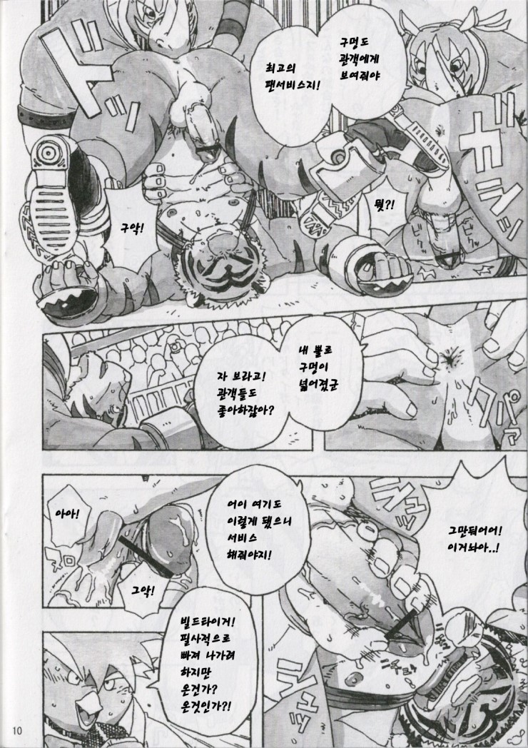 (C79) [Dragon Heart (gamma)] Choujuu Gasshin Build Tiger 7 | 초수합신 빌드 타이거 7 [Korean] - Page 12