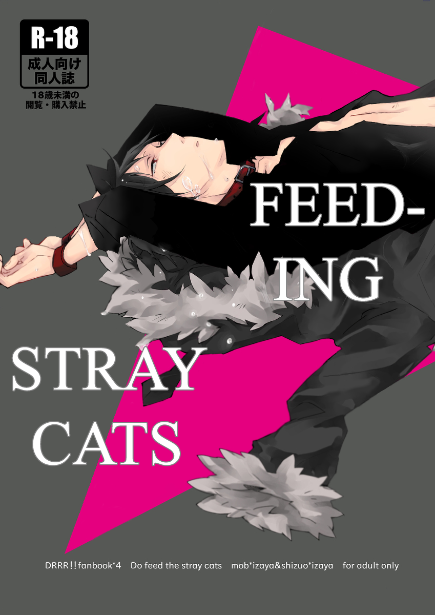 [Sankaku-kuuu] Feeding Stray Cats - Durarara doujin [English] {KCK-Amateur Scans} - Page 1