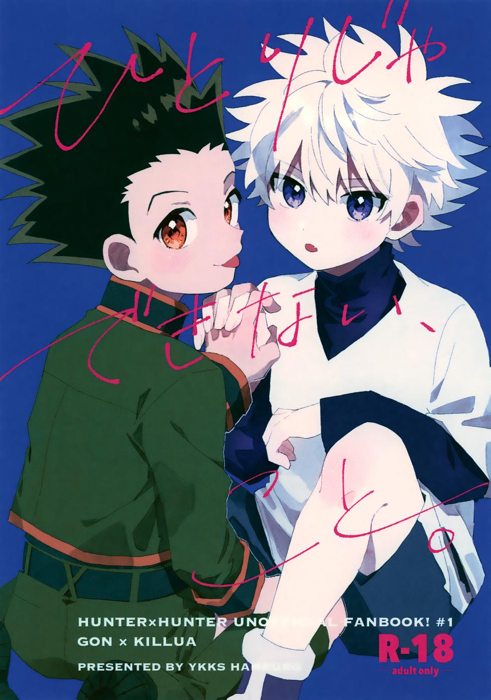 (Re:HUNTER 11) [YKKS Hamburg (Hirakawa)] Hitori ja Dekinai, Koto. (Hunter x Hunter) - Page 1