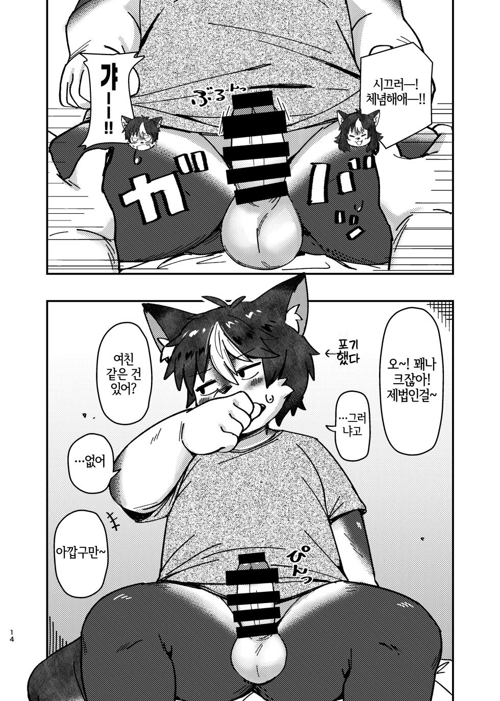 [Akitaka Seinikuten (Akitaka)] ×× dakara dame na no ni ! [Korean] [LWND] - Page 14