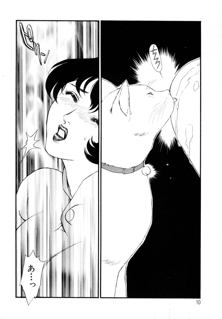 [Fujii Akiko, Akiyama Michio] Hitozuma Moyou 4 Yogarizuma - Page 10