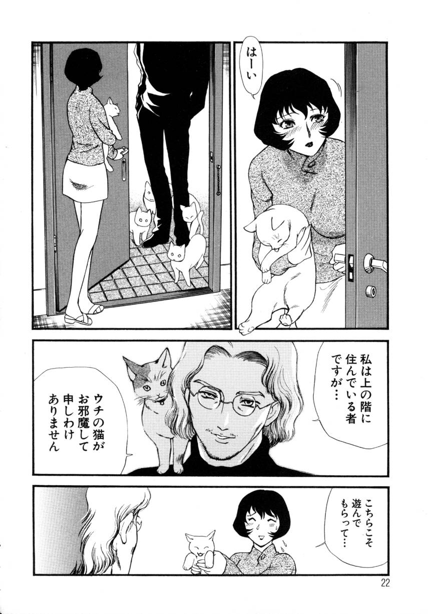 [Fujii Akiko, Akiyama Michio] Hitozuma Moyou 4 Yogarizuma - Page 22